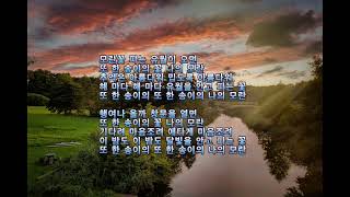 또 한 송이의 나의 모란 김용호 시 조두남 곡 ahnpav Pav Ahn 안파브 가곡 korean song lyrics 가사 [upl. by Fidellas]