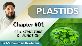 Plastids  Chloroplast Chromoplast amp Leucoplast Their History Origin and Evolution [upl. by Einnaj28]