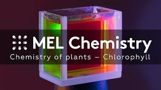 “Chlorophyll“ from the “Chemistry of plants“ set [upl. by Anelat509]