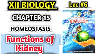 Functions of kidney Lec 6  function of nephron  class 12 biology [upl. by Ttezil]