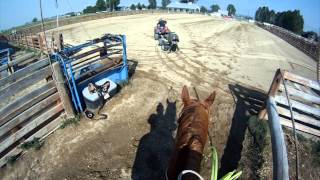 Team Roping Position 6 Heeling steers that run Left [upl. by Aehsan]