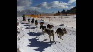 World sleddog championship Donovaly 2011 Slovakia Slideshow [upl. by Narot]