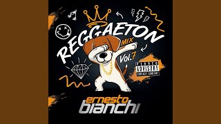 Reggaeton Mix Vol7 [upl. by Leryt]