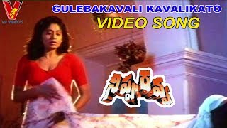 GULEBAKAVALI KAVALIKATO VIDEO SONG  NIPPURAVA  BALAKRISHNA  KASTHURI  VIJAYASHANTI  V9 VIDEOS [upl. by Amalita]