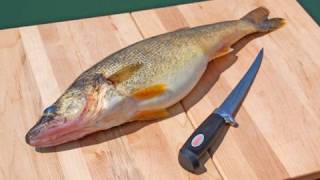 How to Fillet Fish  Freshwater [upl. by Kinchen]