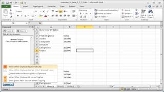 Excel The excel clipboard [upl. by Cordelia]