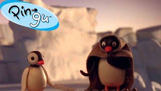 Pingus Favorite Time of the Year 🐧  Pingu  Official Channel  Cartoons For Kids [upl. by Auqenes962]