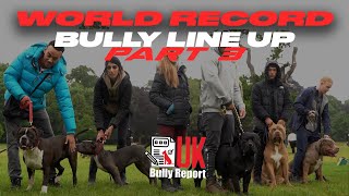 UK BULLY REPORT  WORLD RECORD DOG LINE UP  COVENTRY LINKUP PART 3 [upl. by Siaht22]