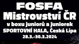 FOSFA Mistrovství ČR v boxu juniorů a juniorek  Česká LÍpa 2932024 [upl. by Margit]