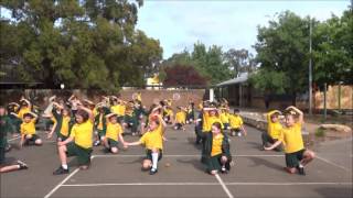 Geronimo by Sheppard Flash Mob 2014 [upl. by Laveen660]