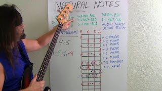 Bass Guitar For Beginners What Bassists Should Know [upl. by Kettie]