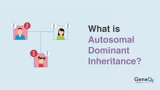 What is Autosomal Dominant Inheritance [upl. by Yklam797]