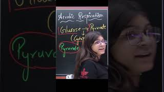 Aerobic Respiration  shorts cbse science education [upl. by Atalante739]