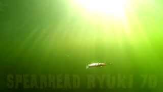 DUOs Lures in Motion 20 Spearhead Ryuki 70 [upl. by Dail]