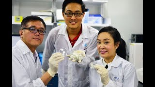 Using collagen from fish scales to heal wounds [upl. by Alemahs]