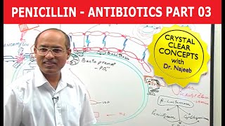 Penicillin  Antibiotics  Dr Najeeb  Part 34 [upl. by Grishilde]