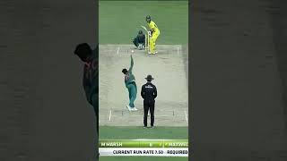 Australia All Fall of Wickets Against Pakistan PAKvAUS SportsCentral Shorts PCB M7C2K [upl. by Zahc505]