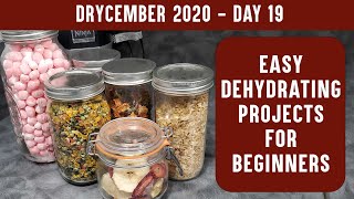 EASY DEHYDRATING PROJECTS FOR BEGINNERS Learn to Dehydrate with Easy Recipes  DRYCEMBER [upl. by Gold867]