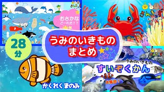 【28分連続再生】人気の 海の生き物 お魚さん 知育動画まとめpart1 赤ちゃん泣き止む 笑う 赤ちゃん幼児向け動画 イルカ サメ クジラ カクレクマノミ 水族館の動物たち [upl. by Betti15]