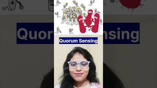 Quorum Sensing in easy language Part1  Quorum Sensing for Biofilm formation  Biodotcom  shorts [upl. by Fulcher]