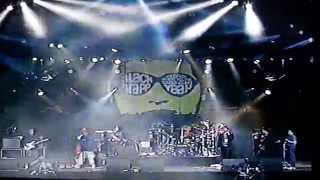 Black Grape  Reverend Black Grape  Live at T in the Park 1996 [upl. by Ynafit]