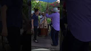 A Zapatear en Michoacán 💃🏻🕺🏽bailedetabla michoacán musica zapateado [upl. by Gunner]