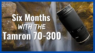 Six Months with the Tamron 70300 for Nikon Z Mount [upl. by Howes]