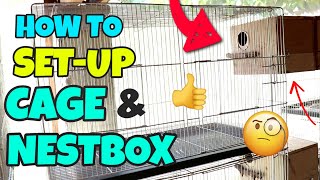 HOW TO SET UP CAGE amp NESTBOX PROPERLY FOR YOUR LOVEBIRDS  Breeding Cage Setup for Lovebirds [upl. by Goodman]