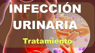 Infección Urinaria Tratamiento Explicación [upl. by Akirdnuhs504]