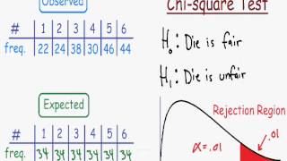 Chi Square Test  Explained [upl. by Anaj463]