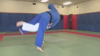 How To Throw People In Judo [upl. by Yelrahs]