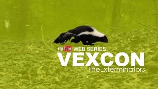 Vexcon The Exterminators  Web Series Episode 4 Skunk [upl. by Maxfield786]