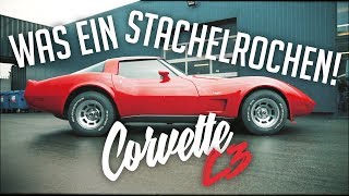 JP Performance  Was ein Stachelrochen  Chevrolet Corvette C3 [upl. by Leaper996]