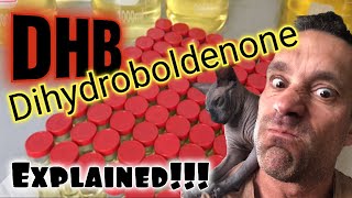 DHB Dihydroboldenone Explained [upl. by Ydurt442]