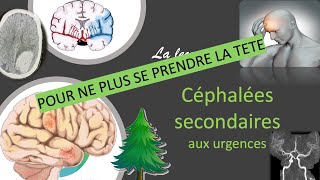 Urgences  la lecon avec cedille  Céphalées secondaires aux urgences 🚨 [upl. by Arakawa]