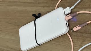 LOVELEDI Portable Charger Power Bank 15000mAh PD 30W Power Bank Review [upl. by Einra]