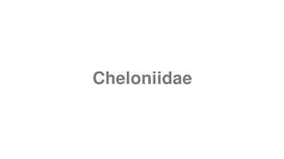 How to Pronounce quotCheloniidaequot [upl. by Morra]