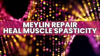 Myelin Repair  Alleviate Neurological Problems  Heal Muscle Spasticity  Stop Tingling In body [upl. by Mulligan]