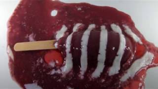 Melting Ice Cream Timelapse  12 different types  Oddly Satisfying [upl. by Anhoj690]