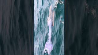 Mermaid swims quickly towards boat Lake Michigan [upl. by Aekal]