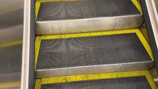 Bondi Junction Railway Station Sydney  Otis Escalator 🇦🇺 [upl. by Oran]