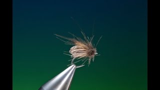 Fly Tying Clarkes caddis fly with Barry Ord Clarke [upl. by Roxane]