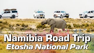 Namibia Roadtrip  Etosha National Park [upl. by Ayyn]