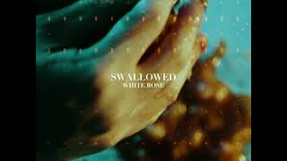 SWALLOWED  WHITE ROSE Official Music Video [upl. by Aldous]