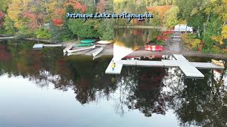 Oxtongue Lake In Algonquin Ontario Canada Fall Colour 4K Aerial Videography [upl. by Trebliw]