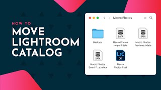 Move Lightroom catalog to new computer or external harddrive [upl. by Inoek390]