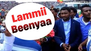 Jaal Lammii Beenyaa  Oduu Guyyaa Haraa  Adda Bilisummaa Oromoo Yeroo Ammaa [upl. by Meer]