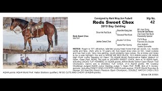 ➖Pitzer Ranch 2024 Spring Sale➖ ♦️Lot 42 Reds Sweet Chex♦️ [upl. by Fogel525]