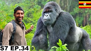 Finally My Dream Gorilla Safari in Uganda 🇺🇬 S7 EP34  Pakistan to South Africa [upl. by Allsun252]