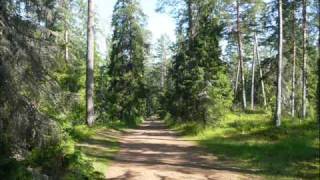 Valaam Brotherhood Choir  Tebe  Валаам [upl. by Mavilia]